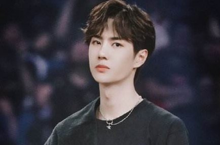 王一博的家庭背景很厉害，他父亲是中海集团的老总？