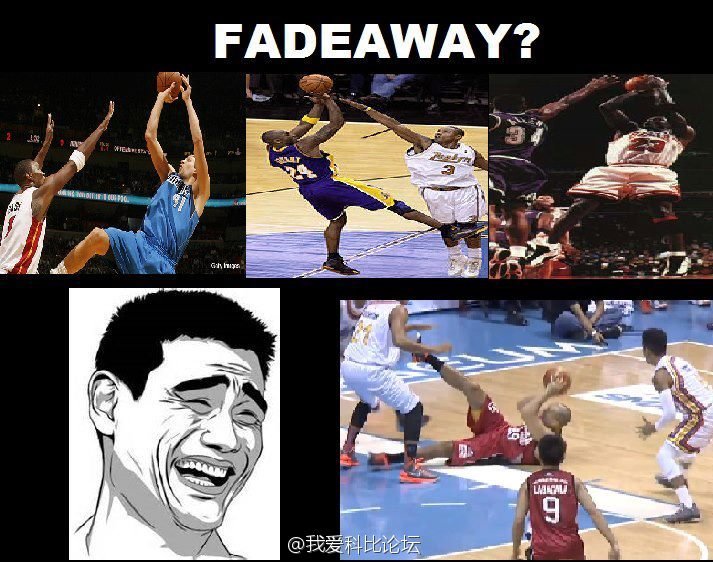 我爱科比论坛的论坛规模