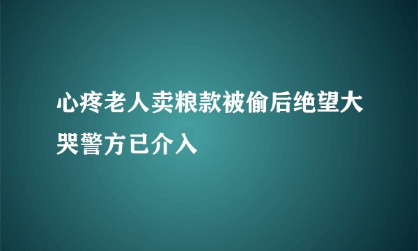 心疼老人卖粮款被偷后绝望大哭警方已介入