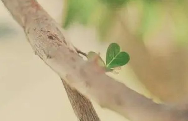 占上风怎么造句子