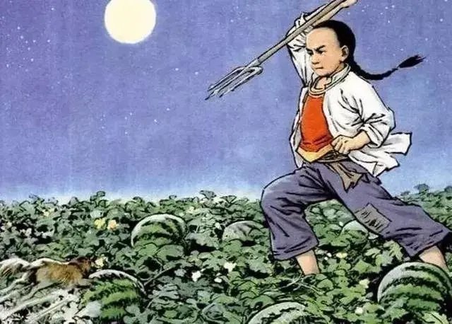 几年前审定的教材插画，为什么在如今却爆发了？