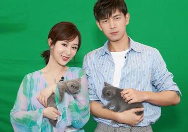 李现的老婆是杨紫吗