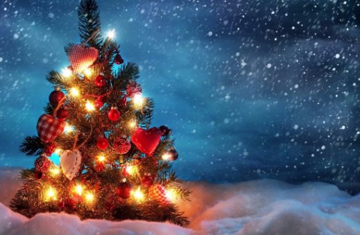 12月24日什么日子？