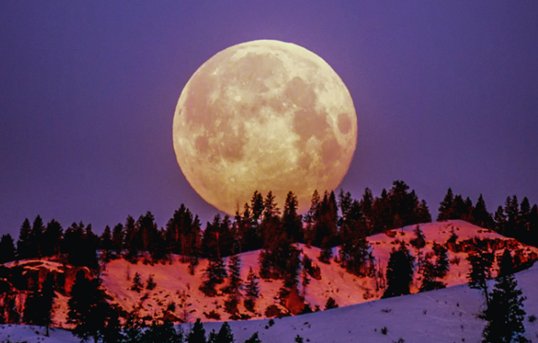 十六的月亮经典句子