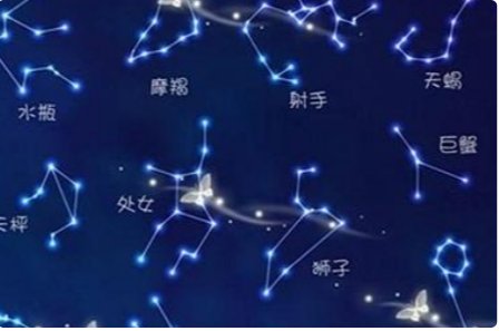 陶白白是什么？