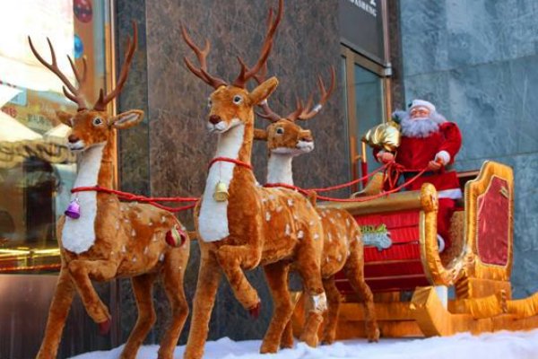 传说中圣诞老人是平安夜来还是圣诞节晚上发礼物