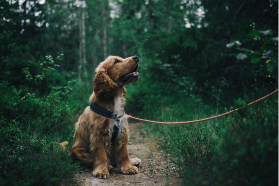 拴怎么读拼音组词