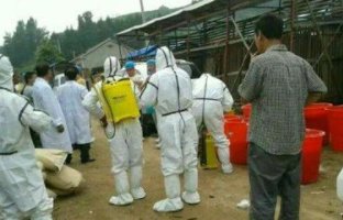 山东2例炭疽病例详情公布，炭疽发病的表现是什么？