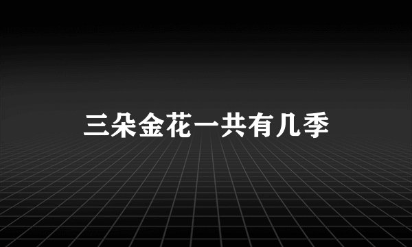 三朵金花一共有几季