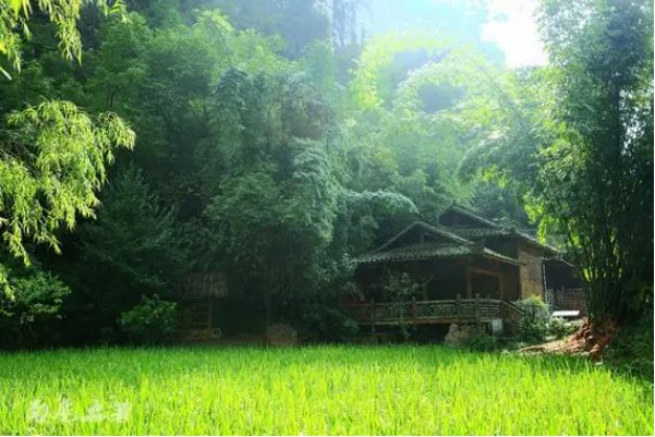 幽的读音和组词语