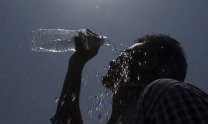 浙江杭州遇高温天气,活虾从菜场拎到家被“热熟”,这种天气还会持续多久?