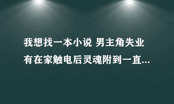 我想找一本小说 男主角失业有在家触电后灵魂附到一直叫陈凡的狗上