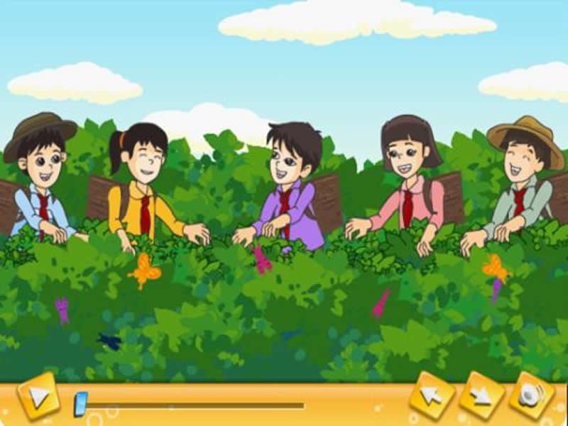 少先队员采茶歌的歌词