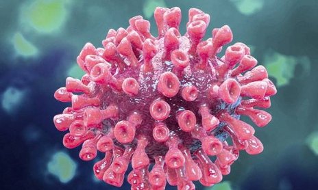 北京“服装店传播链”已有16人感染,新冠病毒在织物表面存活时间有多长?