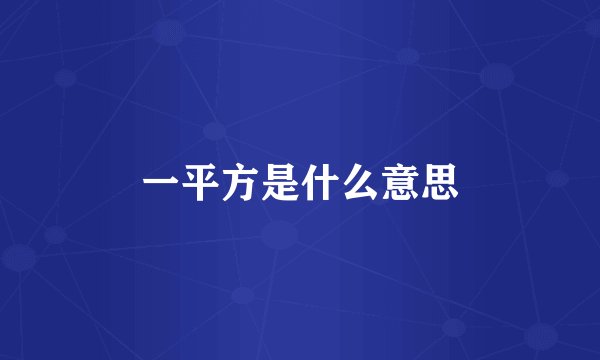 一平方是什么意思