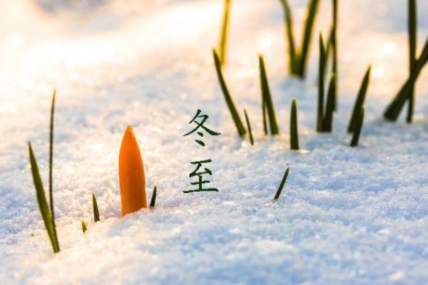 冬至和入九是同一天吗？