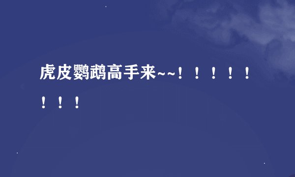 虎皮鹦鹉高手来~~！！！！！！！！