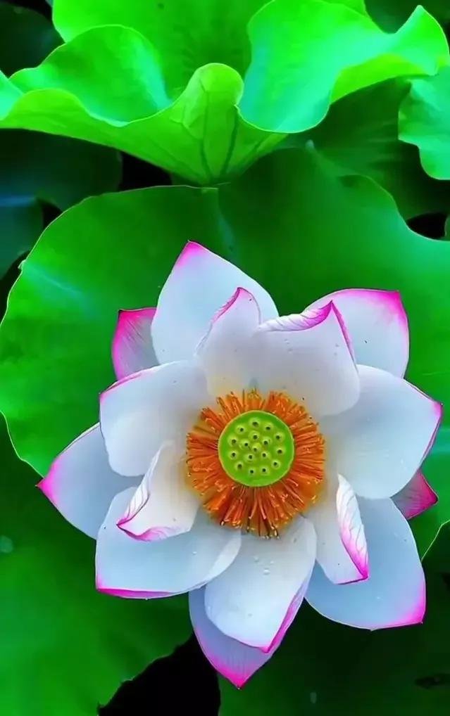 或许你在我心里永远是最好的吧，一个令我感觉美好的人，你也很温柔啊？