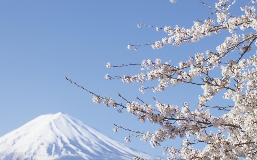 龟田太君搞笑网名