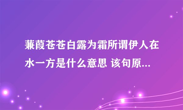蒹葭苍苍白露为霜所谓伊人在水一方是什么意思 该句原文是什么