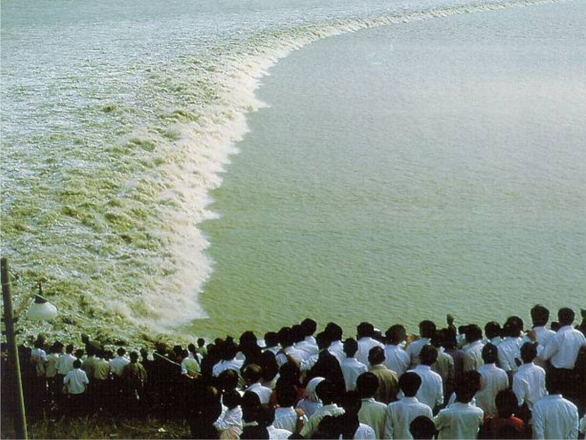 观潮中的昂首东望有什么解释