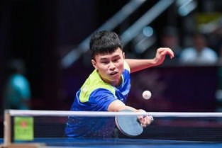 周启豪战胜樊振东夺冠，他的实力有多强？