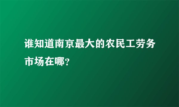 谁知道南京最大的农民工劳务市场在哪？
