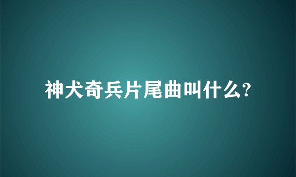 神犬奇兵片尾曲叫什么?