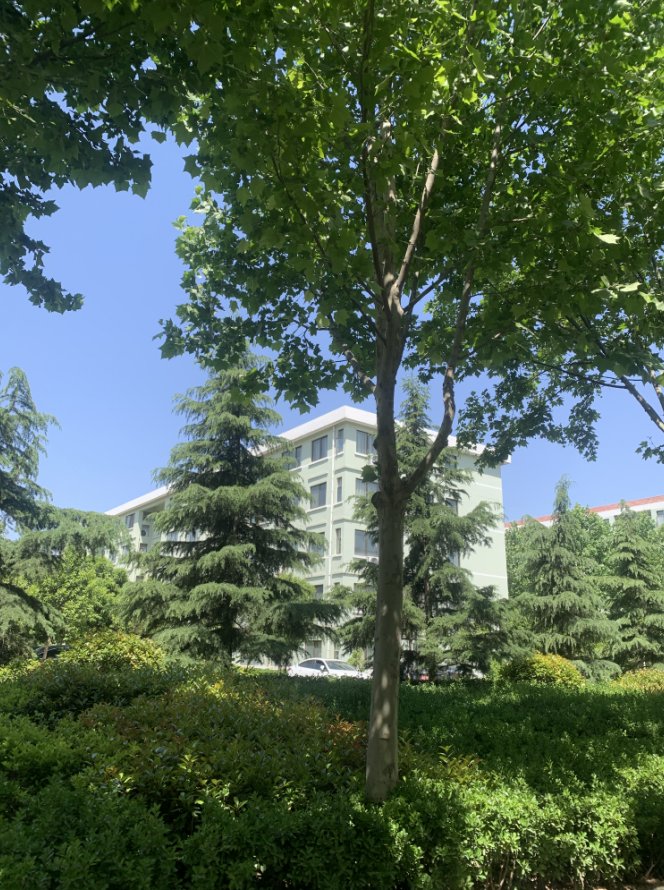 郑州经贸职业学院怎么样？