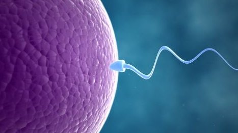 “单身女性冻卵案”一审败诉，“冻卵”是否违反伦理？