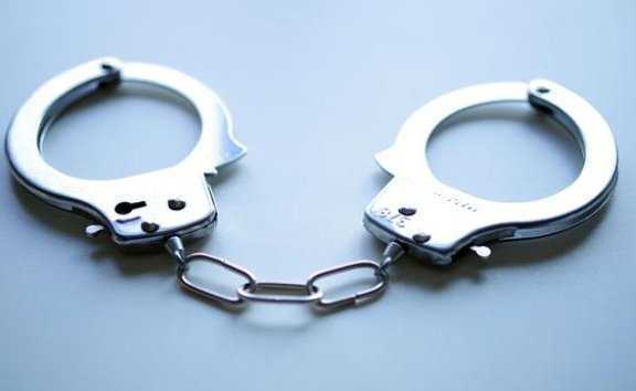 网红烹食大白鲨事件，两人被批捕，博主“提子”受到了怎样的处罚？