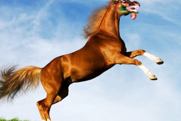 屹然挺立打一准生肖