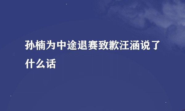 孙楠为中途退赛致歉汪涵说了什么话