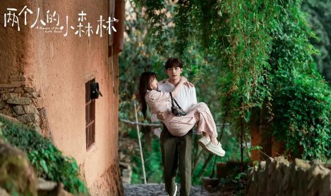 两个人的小森林在哪个平台播出