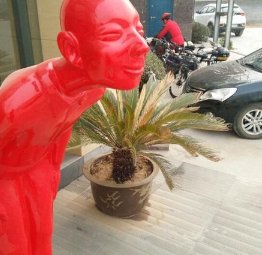 点头哈腰形容什么动物