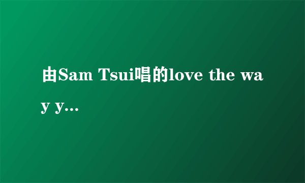 由Sam Tsui唱的love the way you lie是源于哪几首歌?