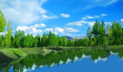 胜日寻芳泗水滨，无边光景一时新。等闲识得东风面，万紫千红总是春。这句话的意思是什么？