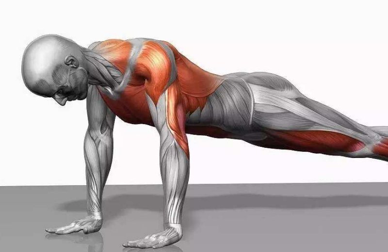 90后小伙做俯卧撑致下身瘫痪，这是为何？