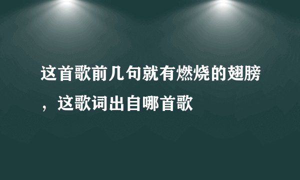 这首歌前几句就有燃烧的翅膀，这歌词出自哪首歌
