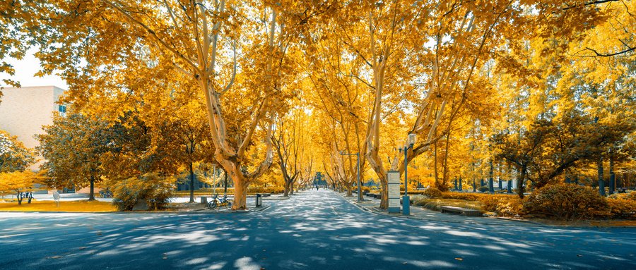 民办本科和公办大专哪个更好？千万不要上民办大学是真的吗？