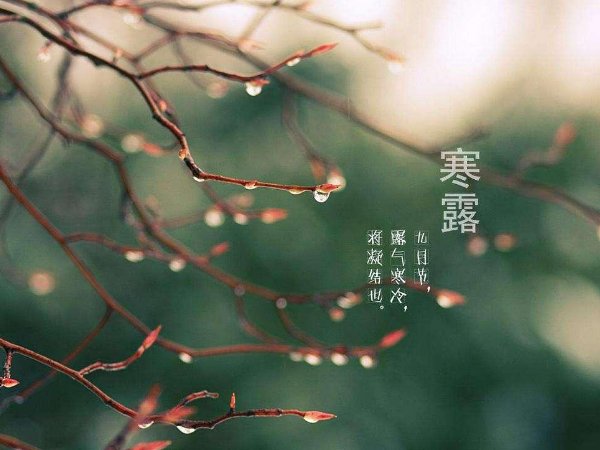 寒露下雨会是冷冬吗