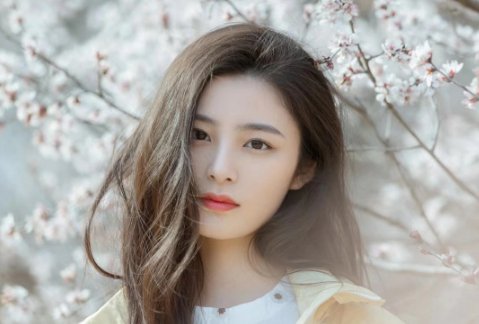 姚晓棠是哪里人？,