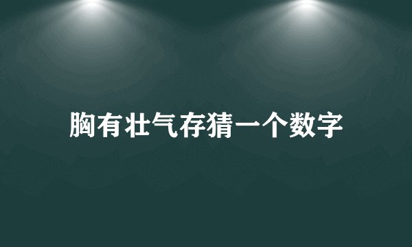 胸有壮气存猜一个数字