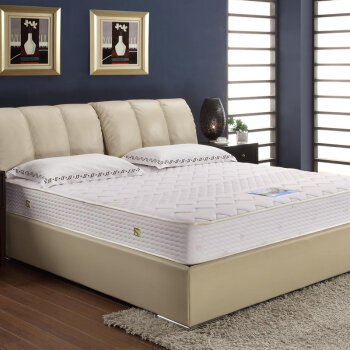 厦门艾力斯顿商学院的介绍