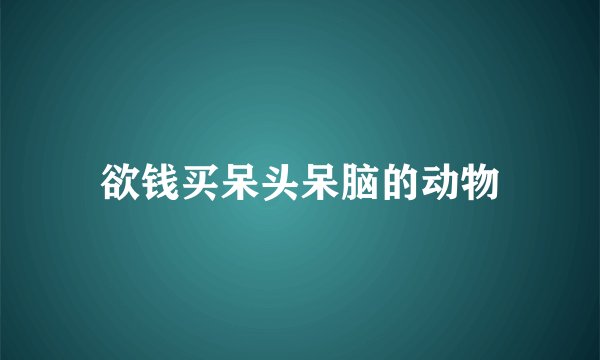 欲钱买呆头呆脑的动物