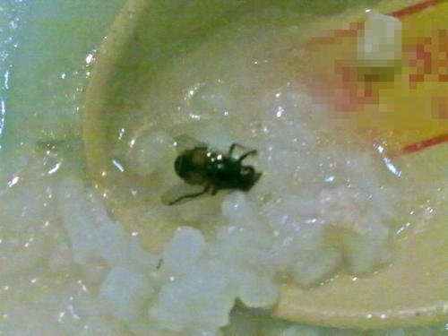 天津一男子自带苍蝇喝粥碰瓷索赔三千元，最终受到了什么样的惩罚？