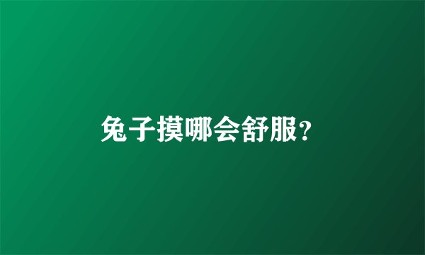 兔子摸哪会舒服？