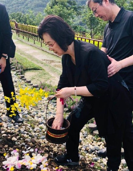 琼瑶丈夫财产分配曝光，原配林婉珍一分未拿，琼瑶别墅和影视权，你怎么看？