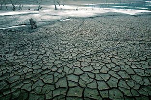 两座北极冰盖消失,全球变暖对生活造成了多大的影响?