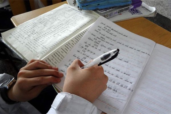 邵志豪建议让学生在校内完成家庭作业，你支持这一建议吗？